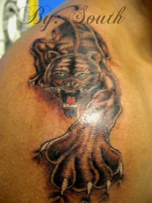 Grey Ink Panther Tattoo On Upper Shoulder