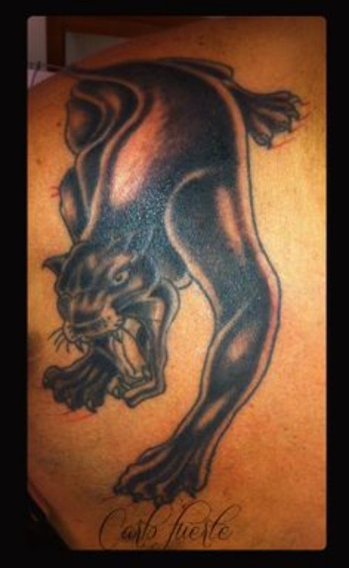 Panther Tattoo On Left Back Shoulder