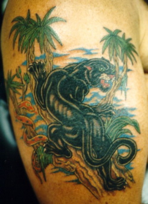 Panther Climbing Tattoo On Half Sleeve