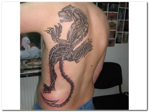 Panther Skeleton Tattoo On Back