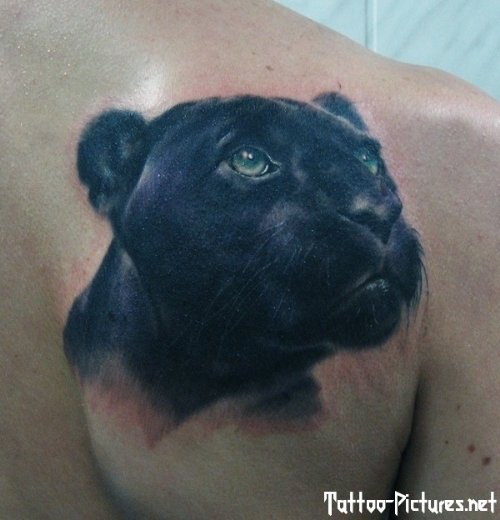 Black 3D Panther Head Tattoo On Man Chest