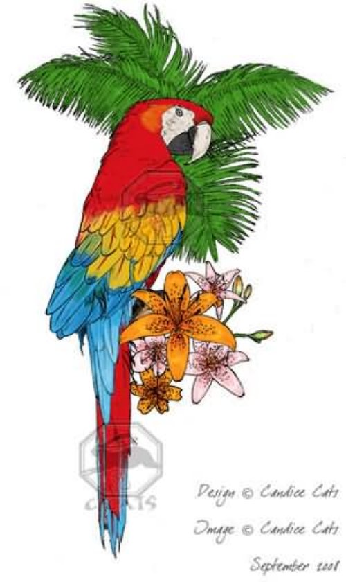 Color Flower and Parrot Tattoo Design