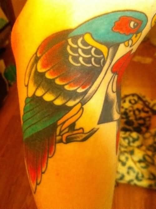 Color Parrot Tattoo