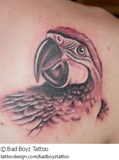 Grey Ink Parrot Head Tattoo On Shoulder