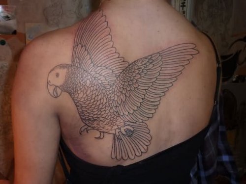 Girl Back Body Flying Parrot Tattoo