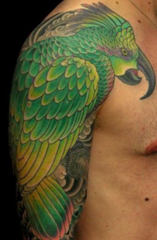 Wonderful Man Right Half Sleeve Parrot Tattoo