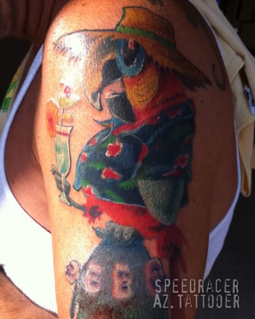 Colored Parrot With Hat Tattoo On Left Half Sleeve