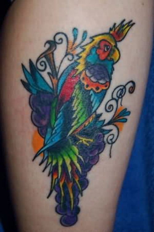 Awesome Color Ink Parrot Tattoo