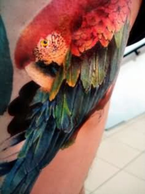 Colored Parrot Tattoo On Left Sleeve