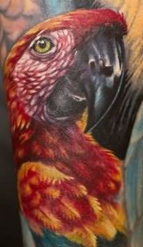 Colored Parrot Tattoo On Half Sleeve