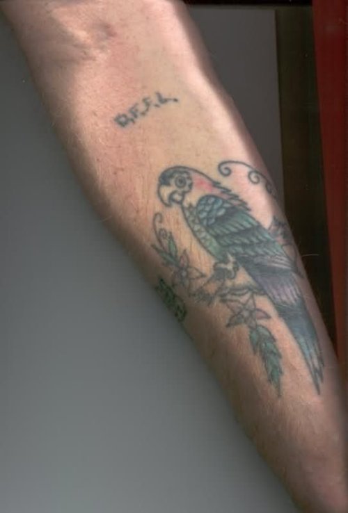 Parrot Tattoo On Left Forearm