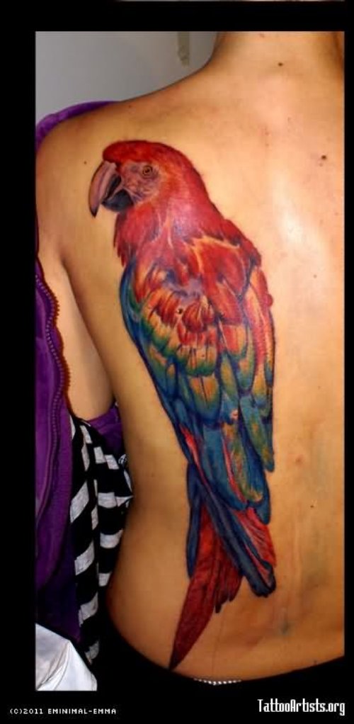 Unique Left Back Shoulder Parrot Tattoo