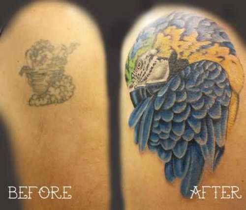 Left Shoulder Parrot Head Tattoo