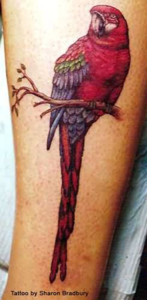 Red Parrot Tattoo On Man Left Sleeve
