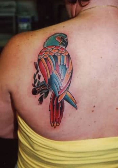 Attractive Left Back Shoulder Parrot Tattoo