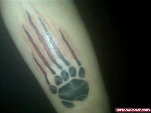 Bear Paw And Scratches Tattoo