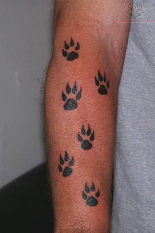 Cat Paw Prints Tattoos