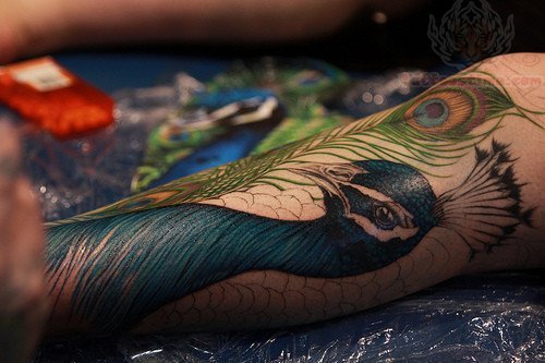 Nice Half Sleeve Peacock Tattoo