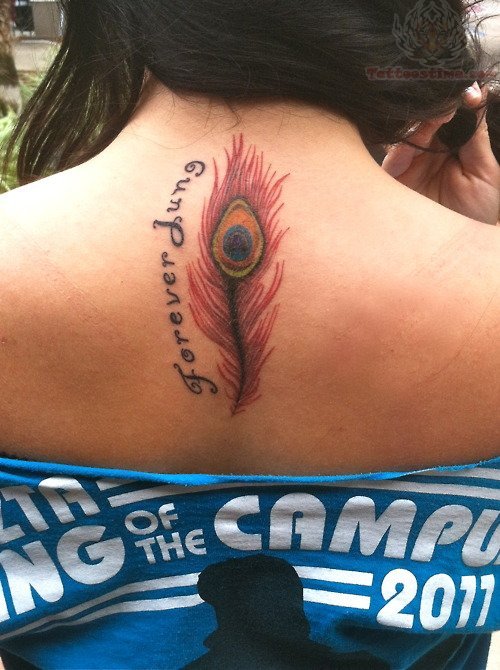 Forever Peacock Feather Tattoo On Upperback