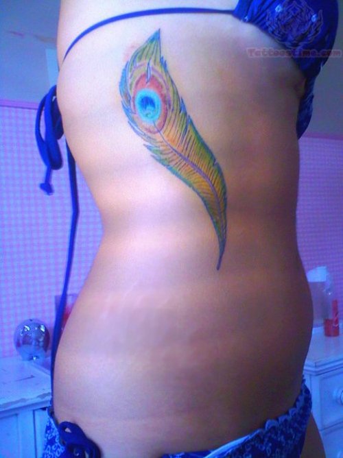 Color Peacock Feather Tattoo On Rib