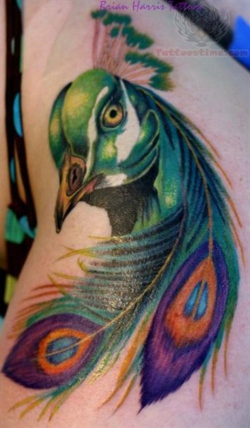 Peacock Head Color Tattoo