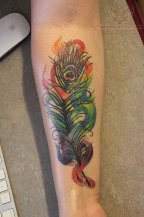 Peacock Feather Tattoos on Right Arm