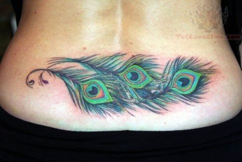 Peacock Feathers Tattoos On Girl Lowerback