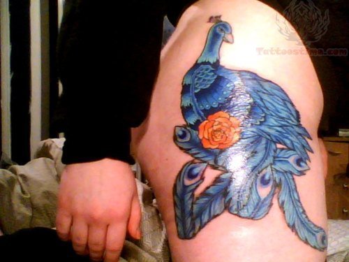 Blue Peacock And Red Rose Tattoo