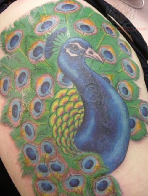 Theresa Gordon Wade Peacock Tattoo