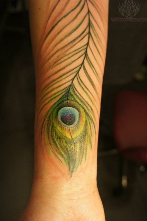 Peacock Feather Tattoo On Right Arm