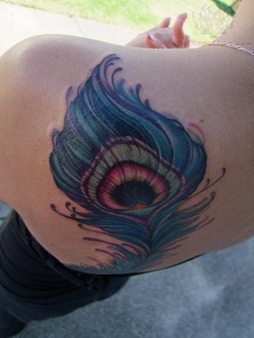 Peacock Feather Back Shoulder Tattoo