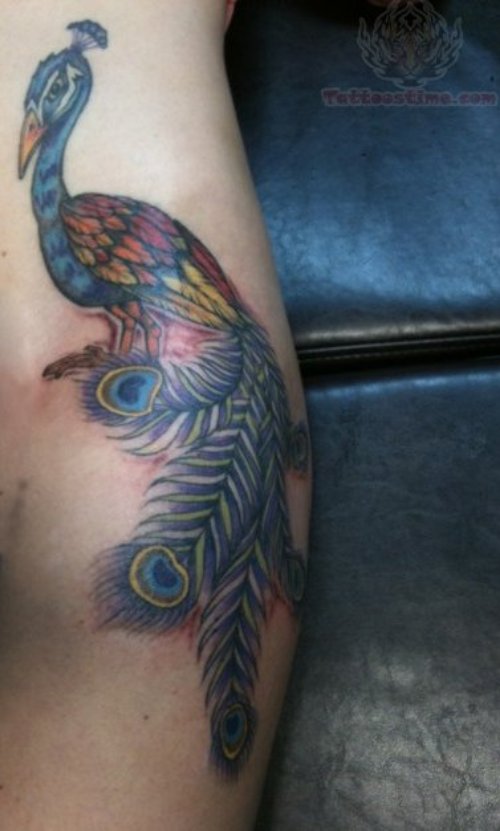 Peacock Tattoo on Girl Side