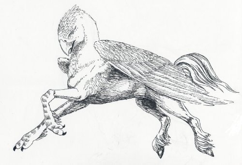 Buckbeak Pegasus Tattoo Design