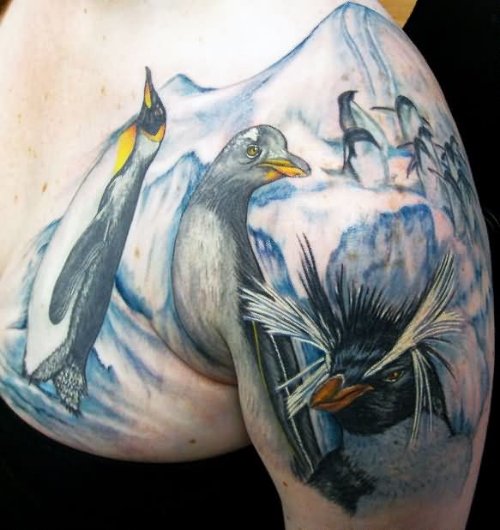 Penguin Tattoos On Girl Right Shoulder