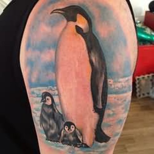 Man Left Half Sleeve Colored Penguin Tattoo