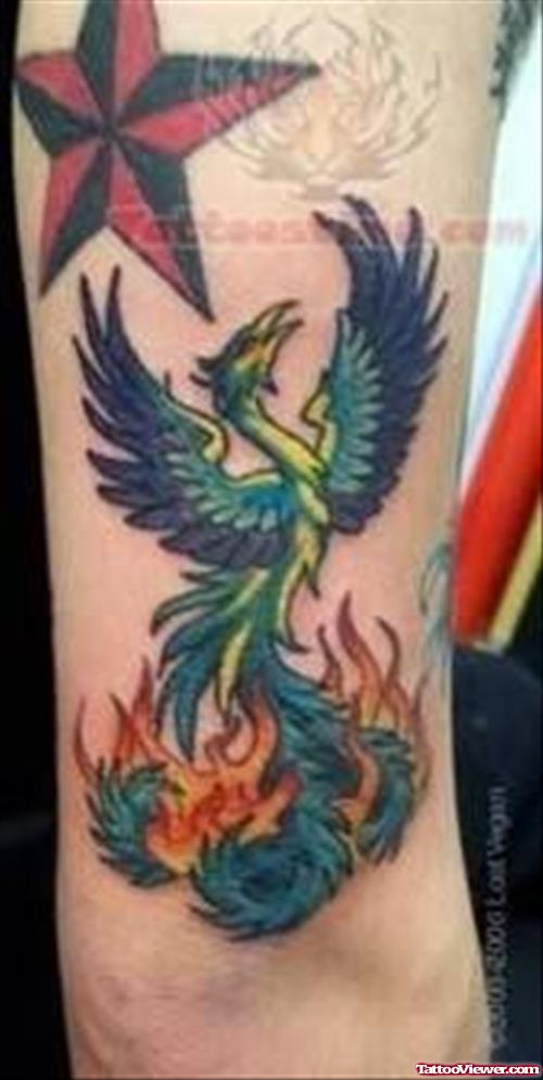 Twinkling Phoenix Tattoo