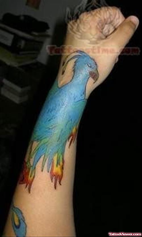 Beautiful Phoenix Tattoo