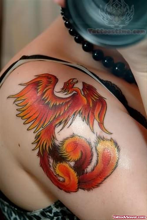 Celtic Phoenix Tattoo On Shoulder