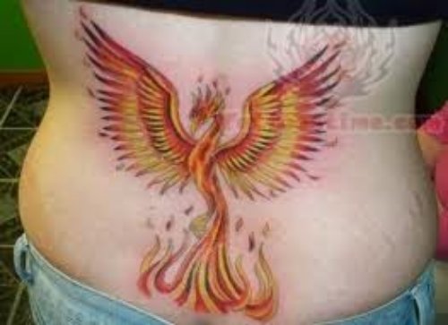 Charming Phoenix Tattoo On Back