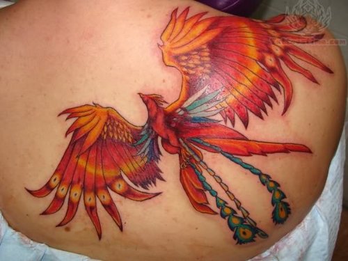 Phoenix Tattoo On Back For Girls