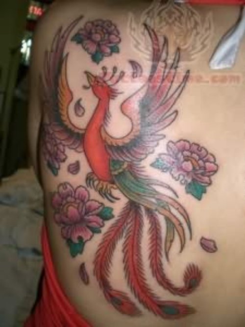 Color Ink Phoenix Tattoo on Back