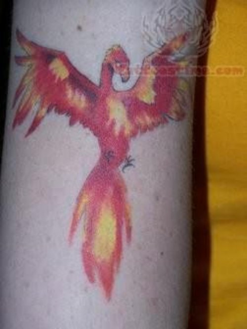 Phoenix Tattoo For Arm