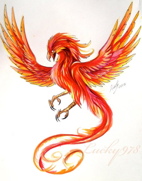 Colored Flying Phoenix Tattoo Design by Lucky978