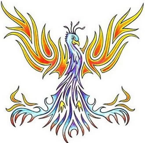 Colored Tribal Phoenix Tattoos Design