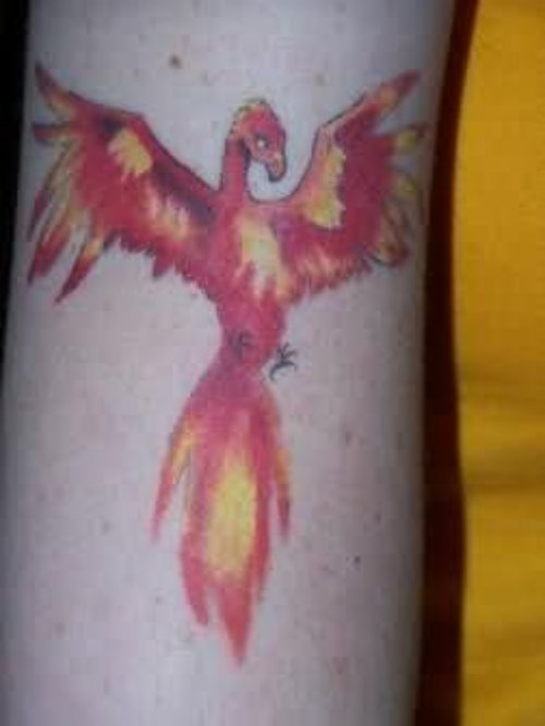 Color Flying Phoenix Tattoo On Full Sleeve
