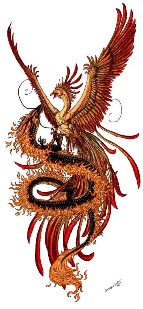 Nice Colored Phoenix Tattoos Designs