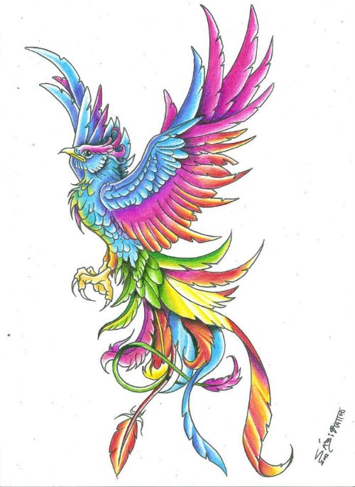 Colorful Phoenix Tattoo Design Sample