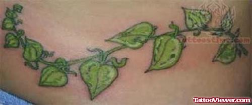 Vine Plant Tattoo On Waist