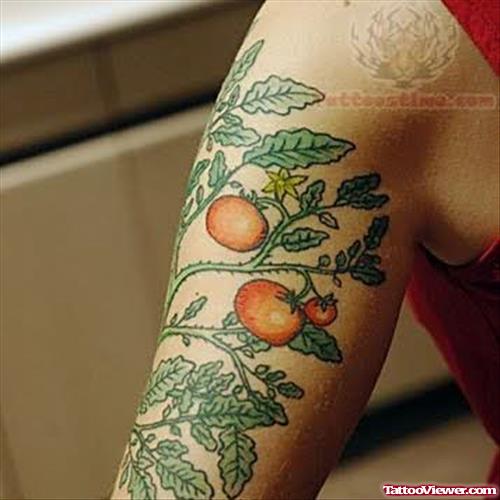 Fruits Plant Tattoo