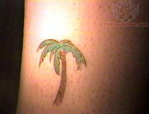 Small Coconut Tree Tattoo